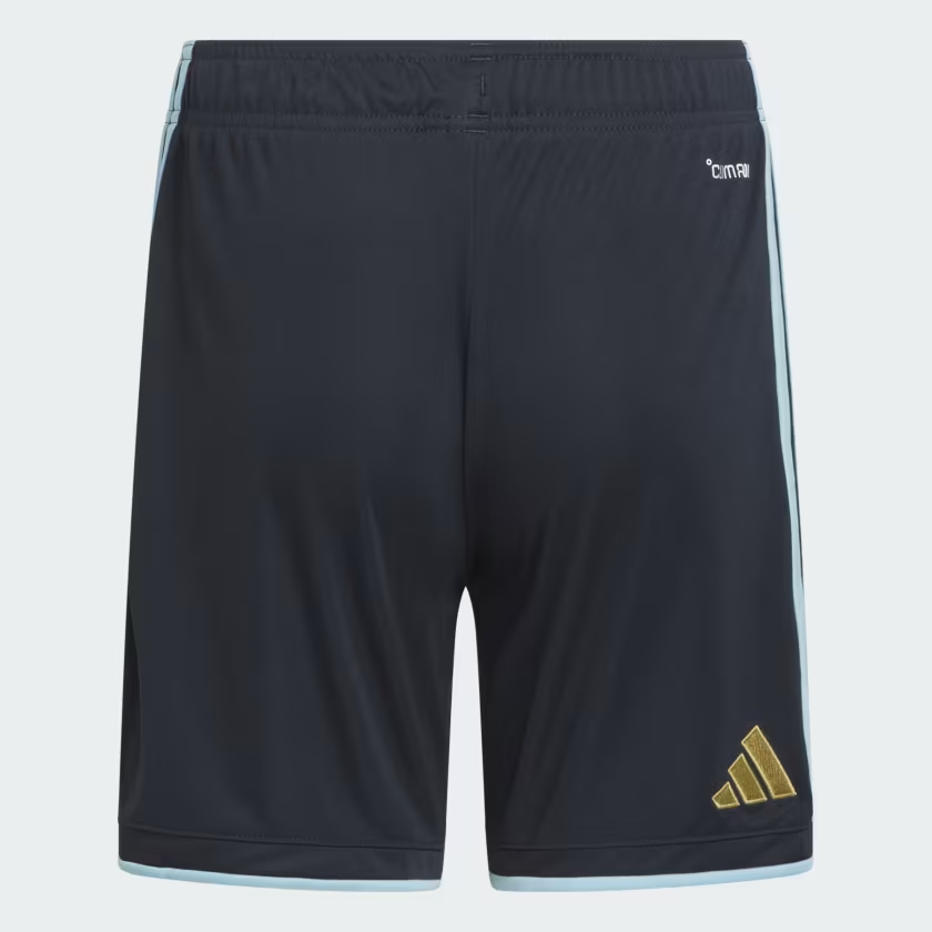 Herren Argentinien 2026 Heim WM Shorts