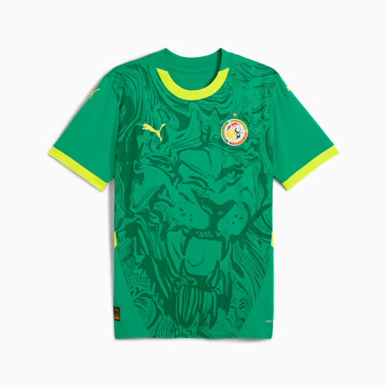 Herren Senegal 2025 Auswärts trikot
