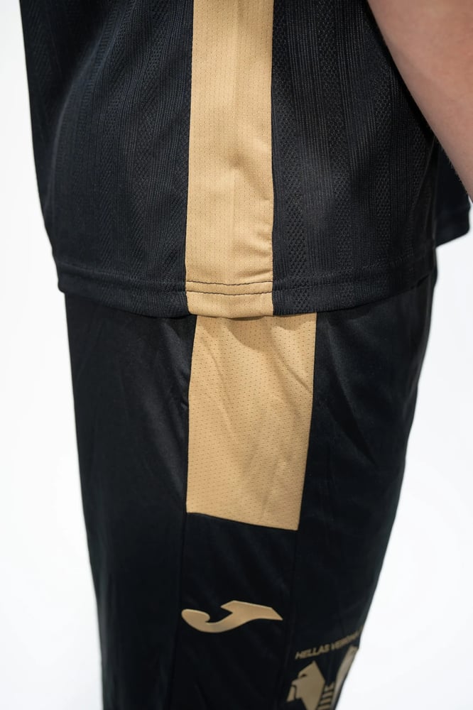 Hellas Verona 2024/25 Dritte Shorts für Kinder