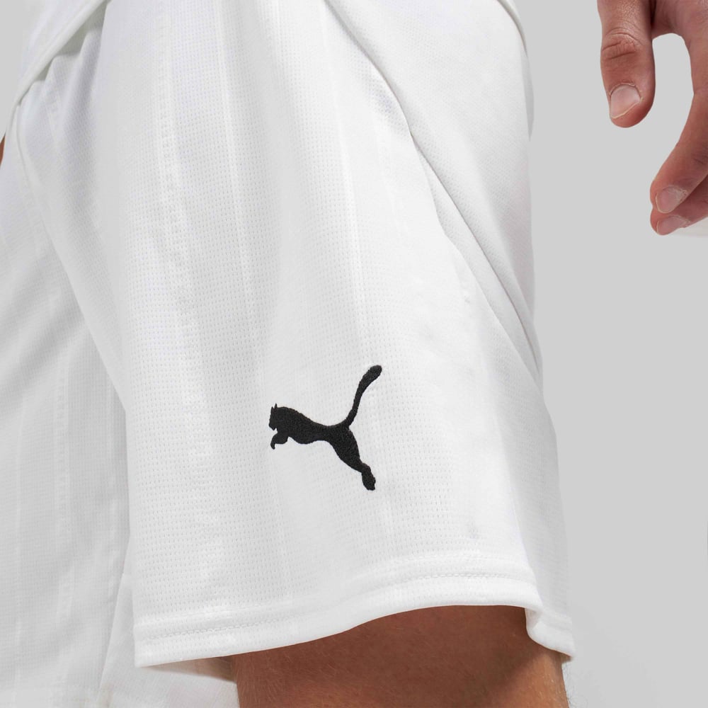 Männer Milan 2024/25 Auswärts shorts