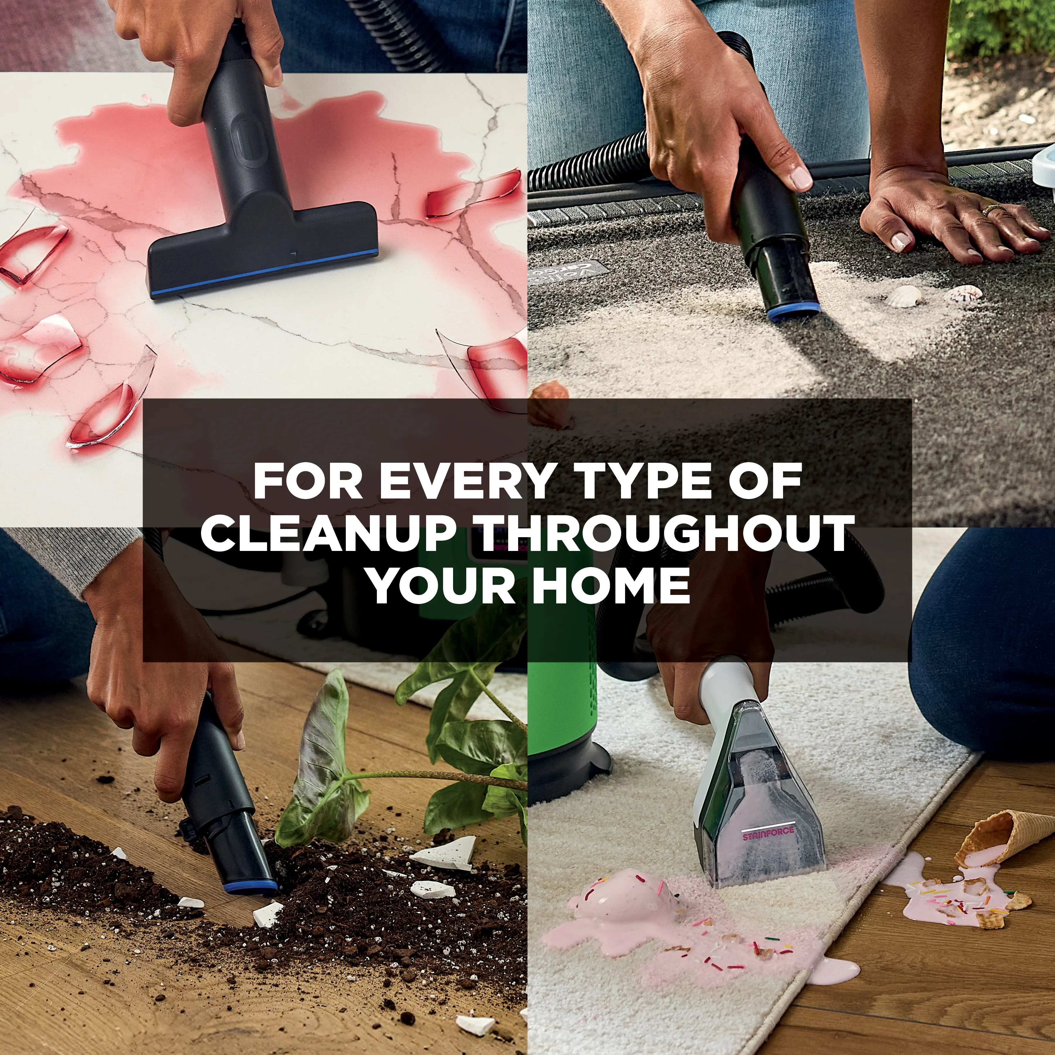 Portable Wet & Dry Vacuum and Stain Remover