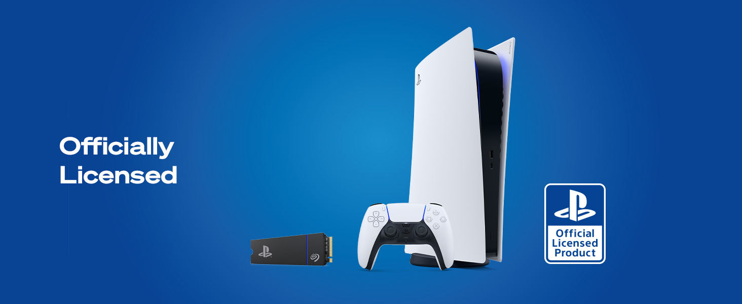 PS5 NVMe SSD