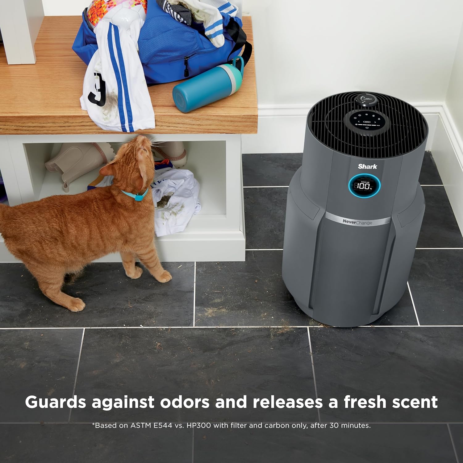 Spring sale Air Purifier for Home with NeverChange(5-Year) HEPA Air Filter