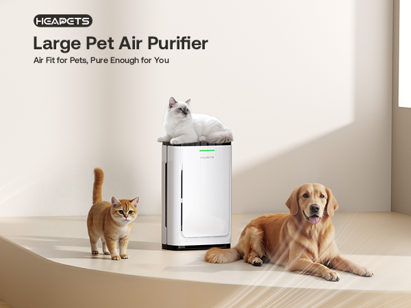 air purifiers for home