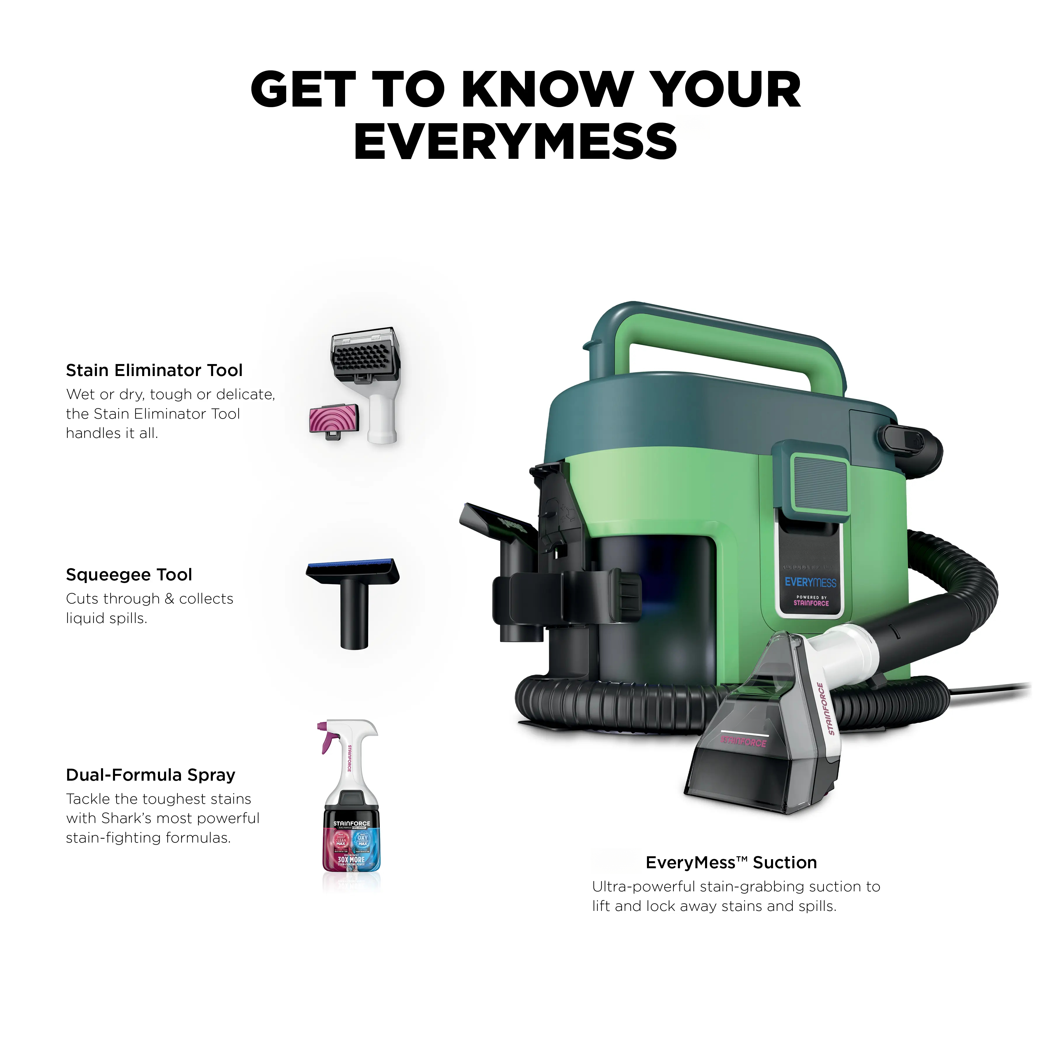 Portable Wet & Dry Vacuum and Stain Remover