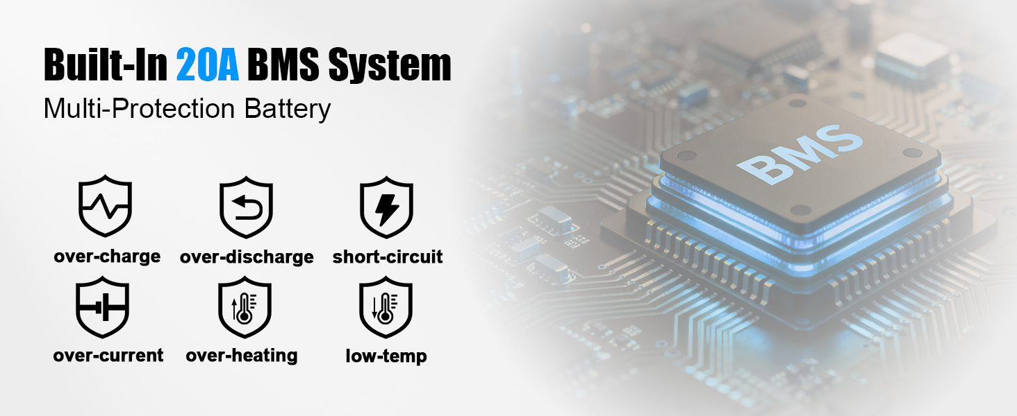 Built-In 20A BMS System