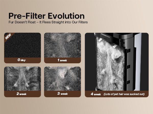 air purifier