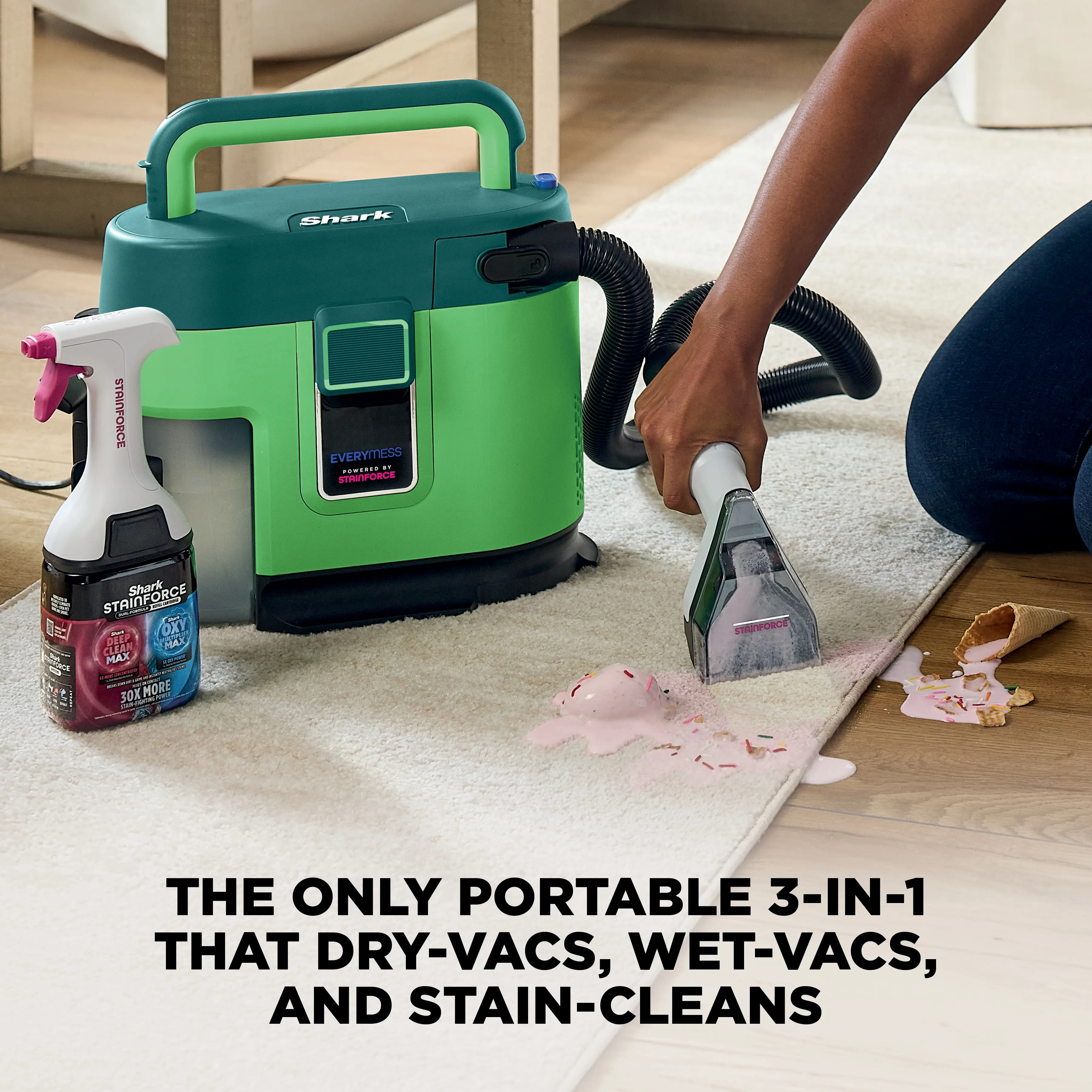 Portable Wet & Dry Vacuum and Stain Remover