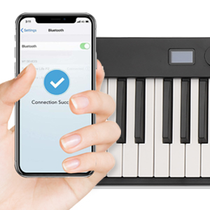 Electronic Keyboard Piano