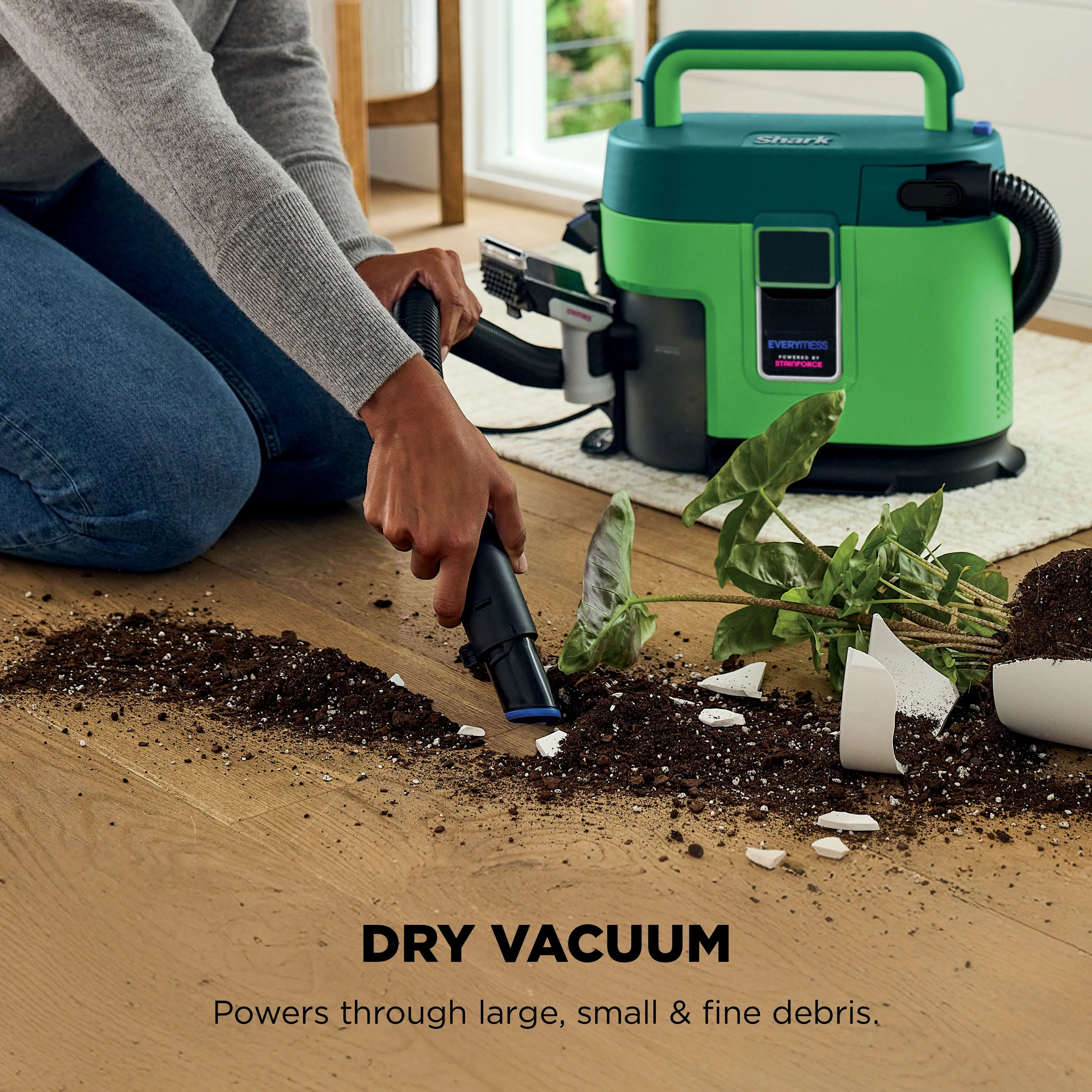 Portable Wet & Dry Vacuum and Stain Remover