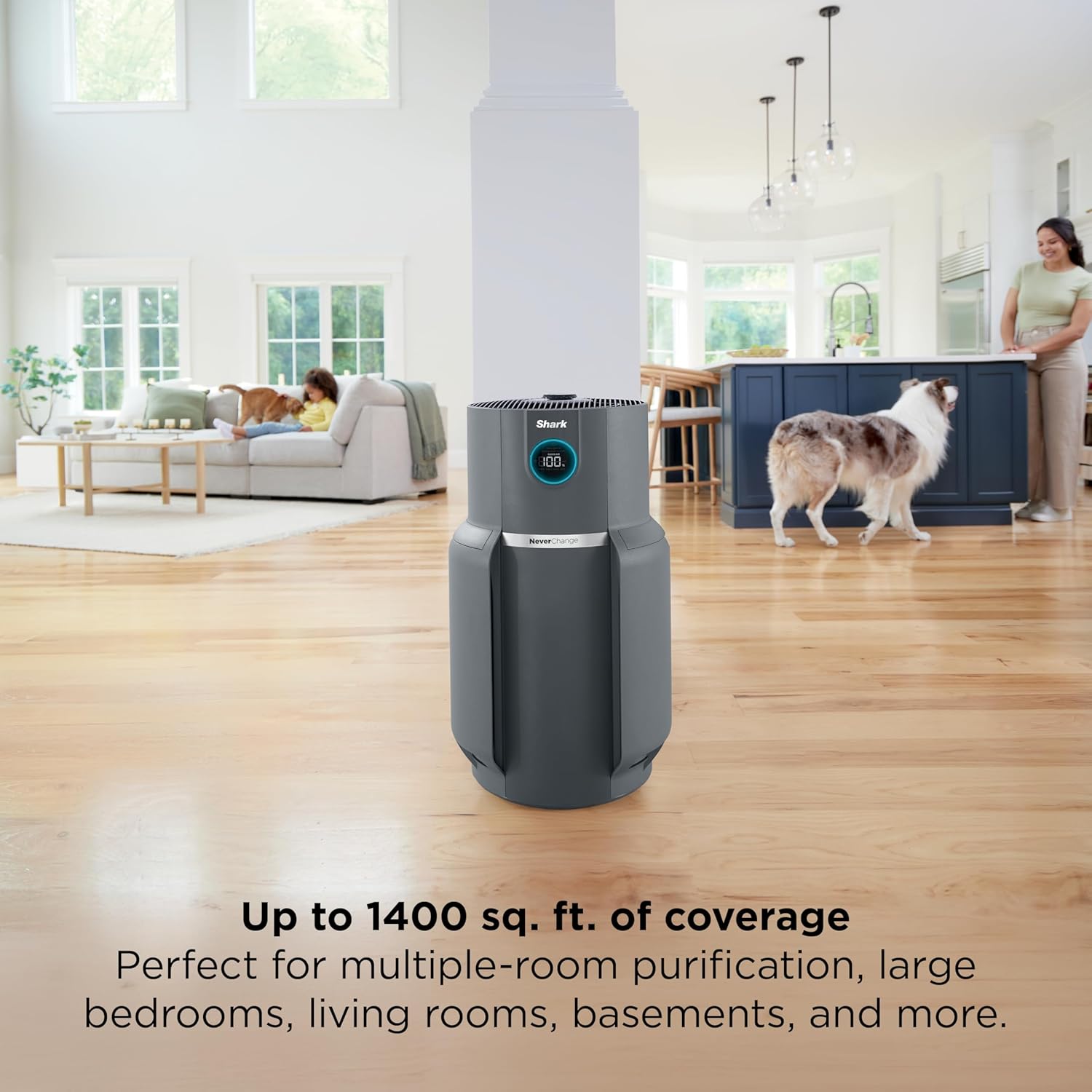 Spring sale Air Purifier for Home with NeverChange(5-Year) HEPA Air Filter