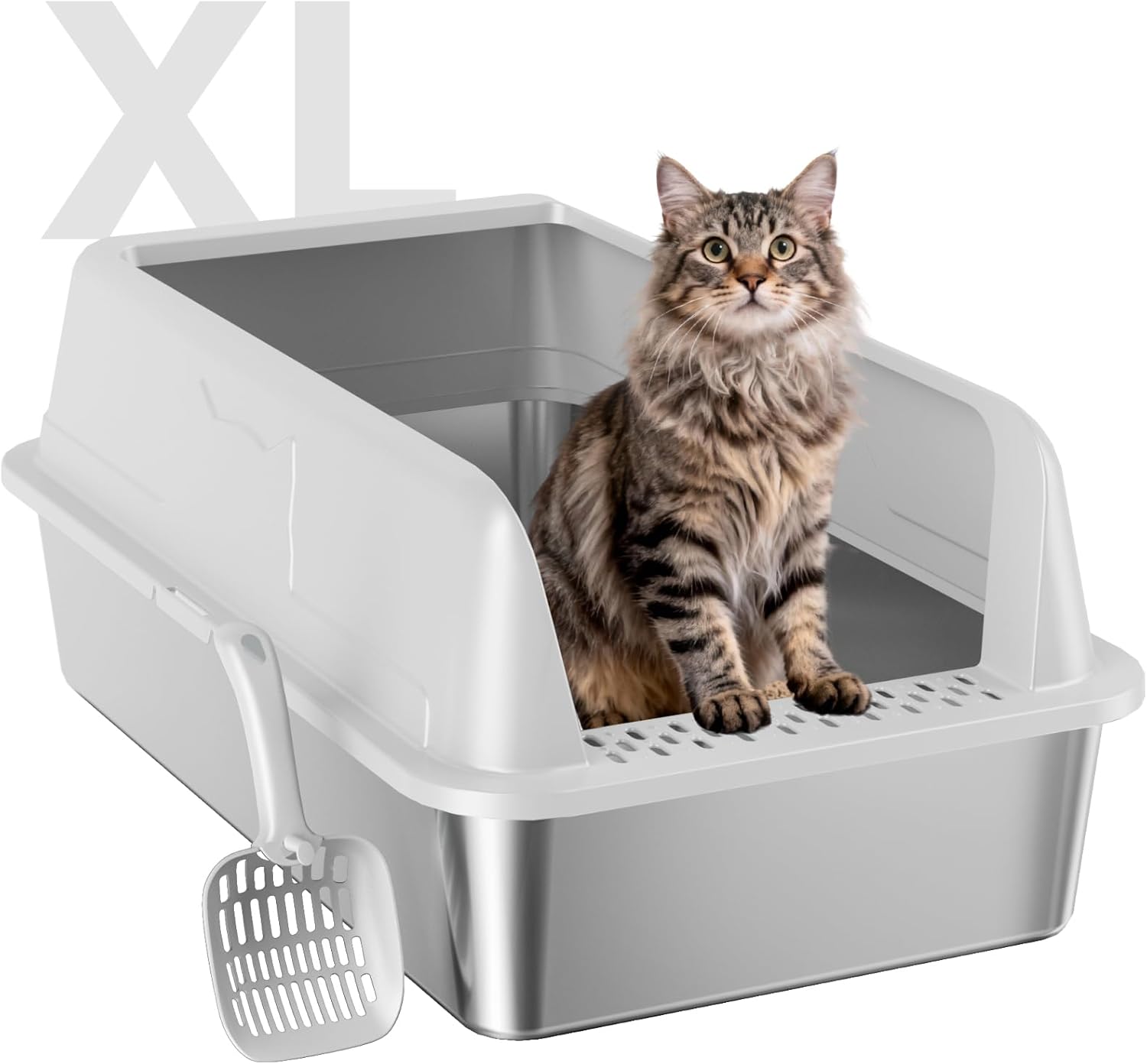 Today's Best Deal Only $39.99