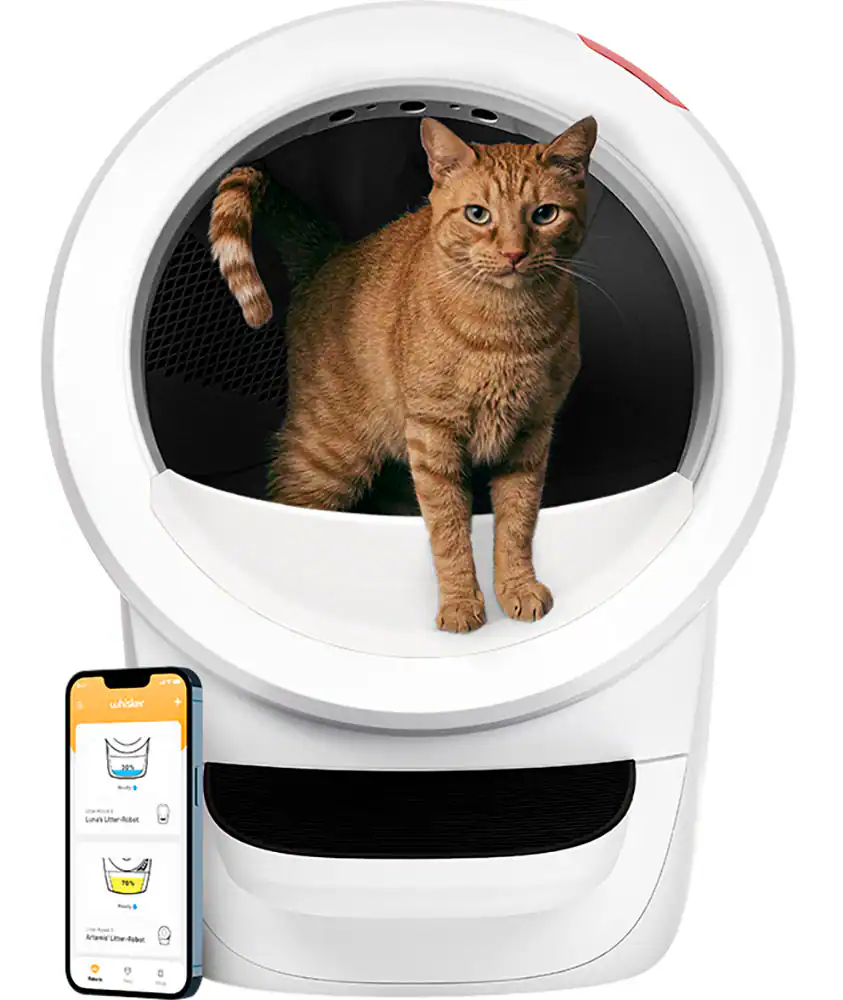 🔥Limited Offer🐱🚽Cat Litter Box