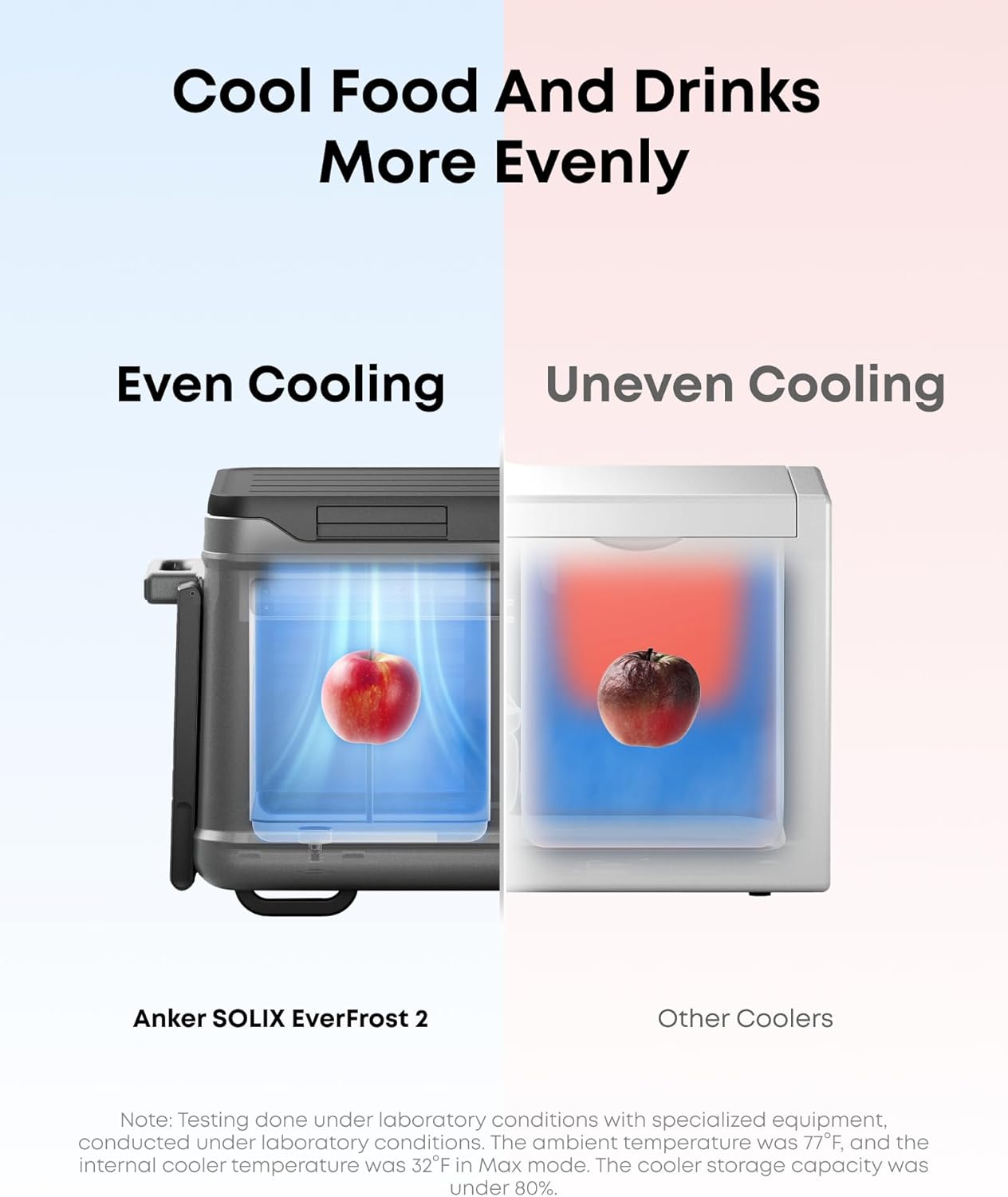 🔥Spring Sale🔥Camping Coolers