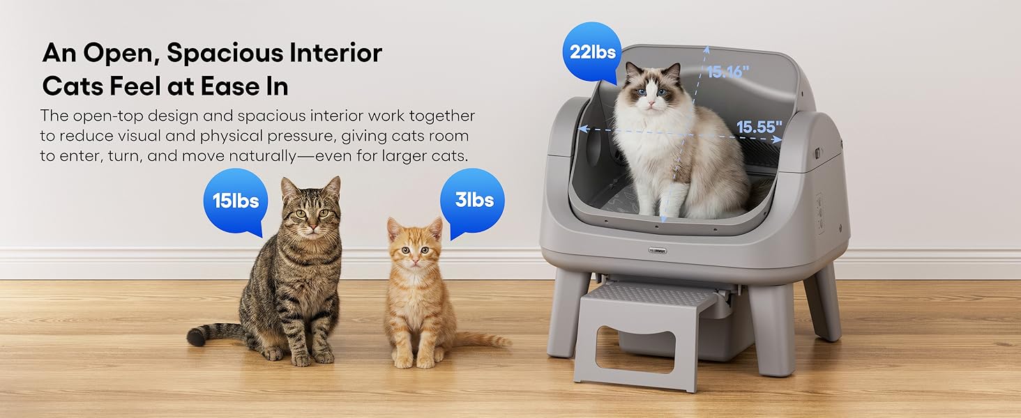 Spacious Space for your cats