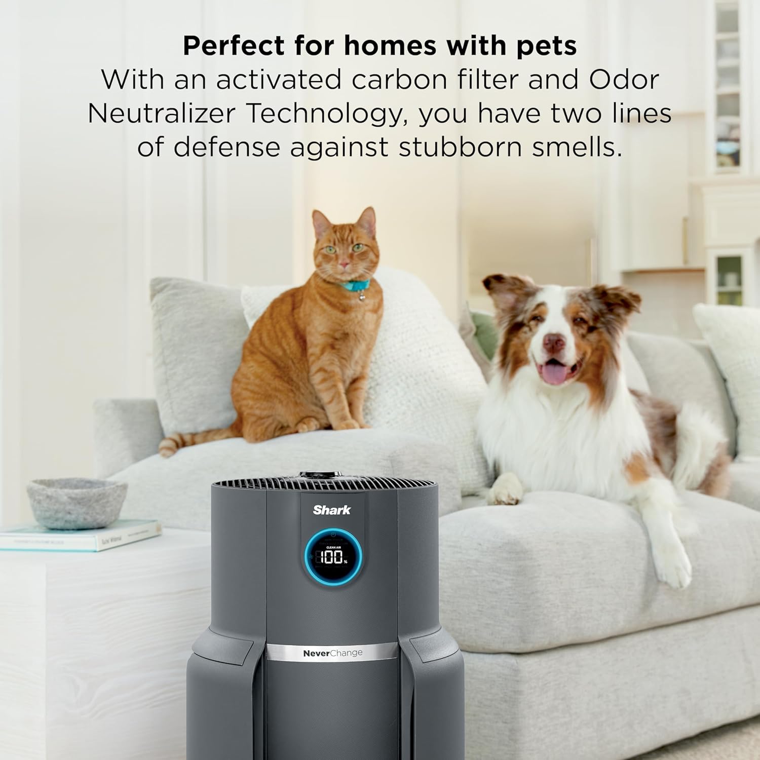 Spring sale Air Purifier for Home with NeverChange(5-Year) HEPA Air Filter
