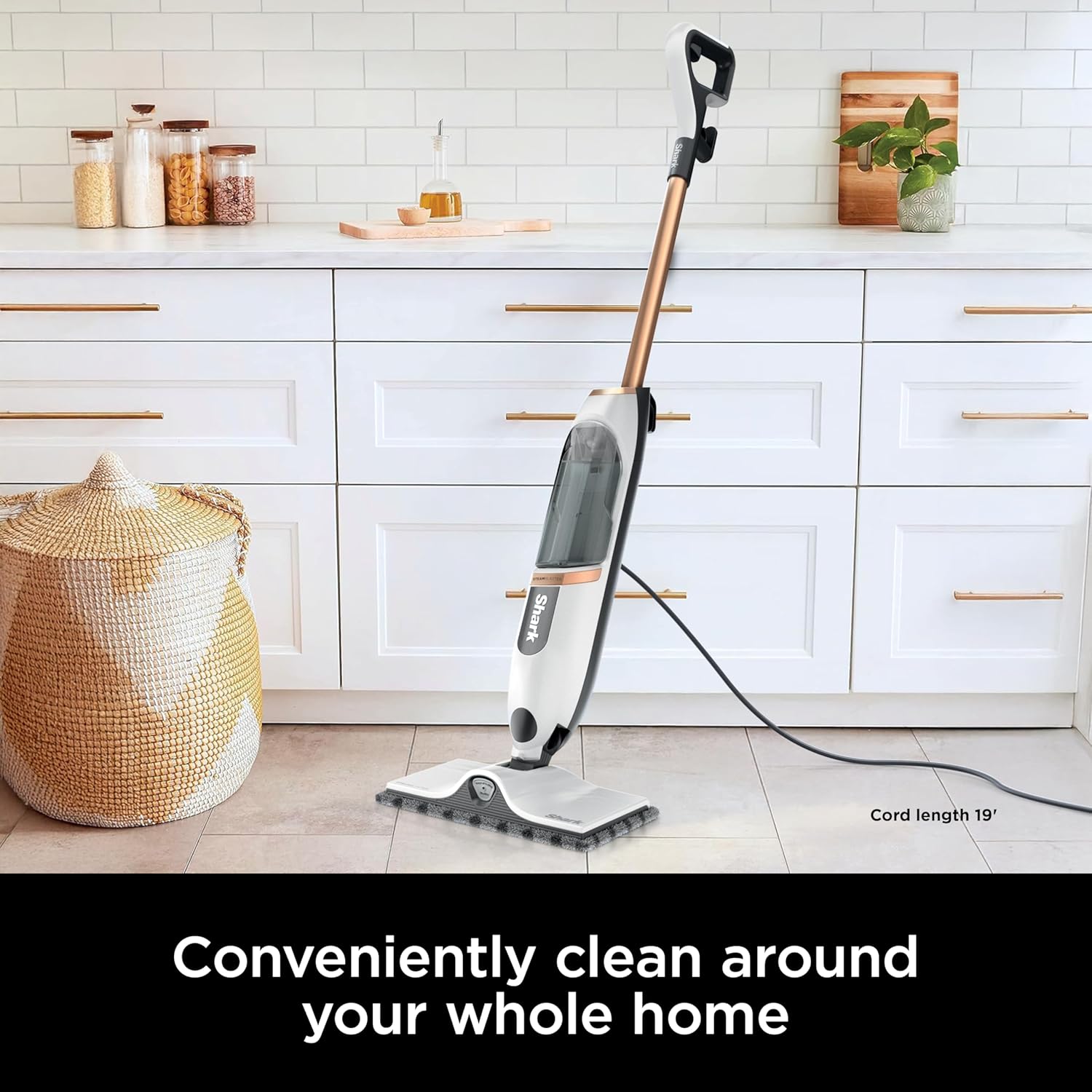 Spring Sale SteamSpot Steam Mop