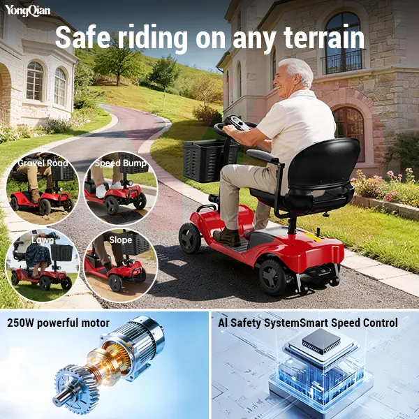 🛵Limited-Time Offer✨