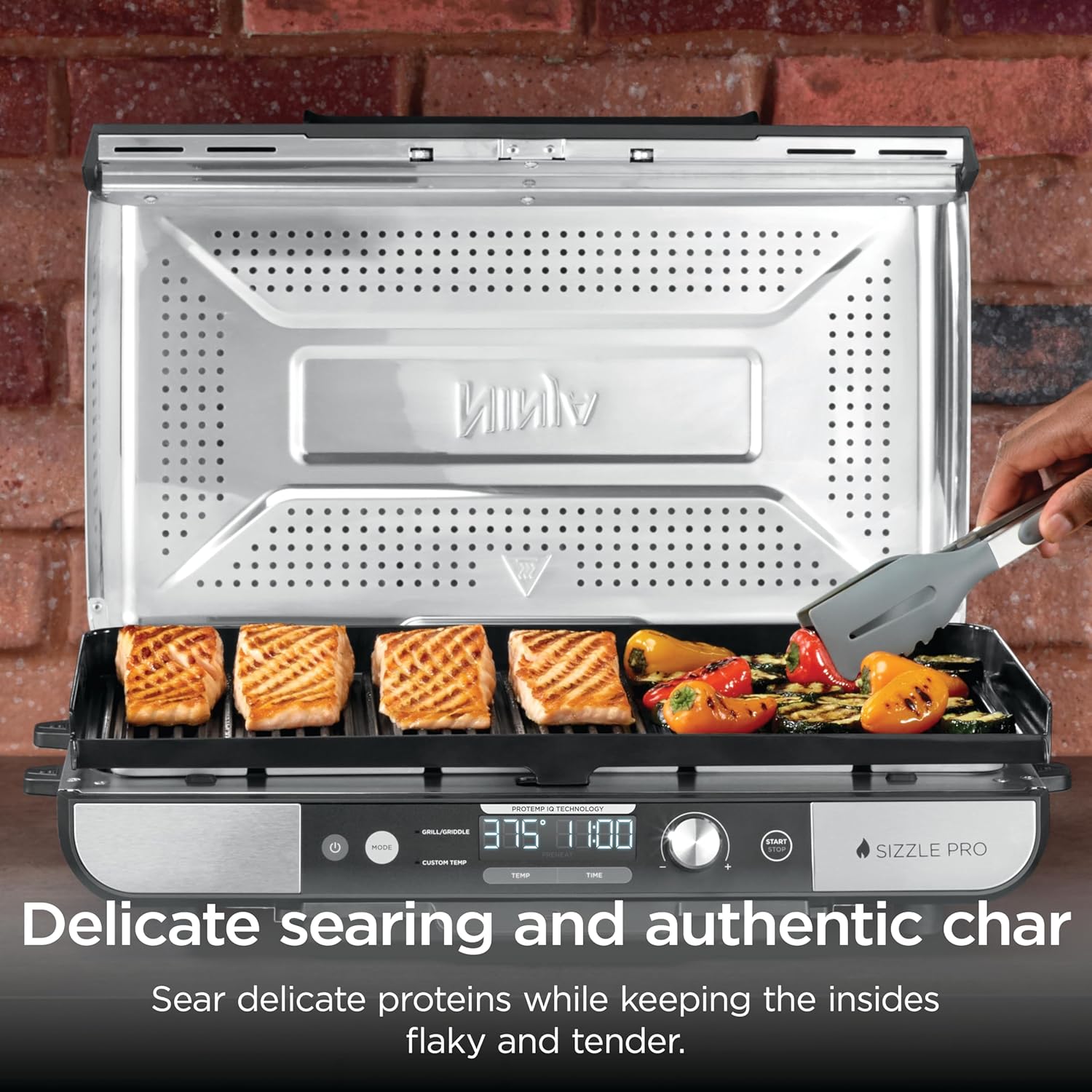 spring sale Indoor Griddle & Grill