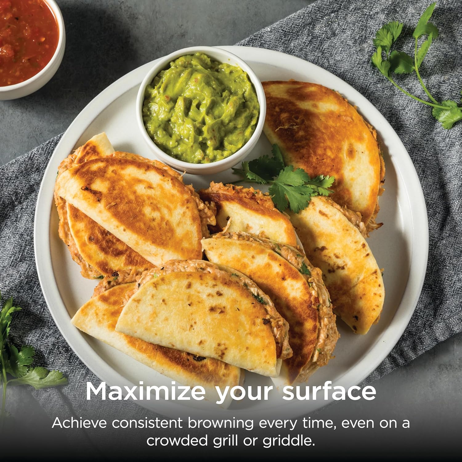 spring sale Indoor Griddle & Grill