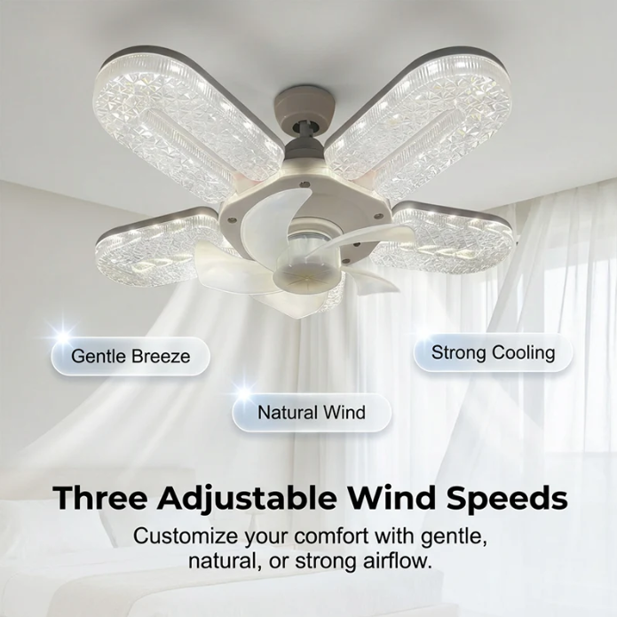 Online Sale - Fan Light
