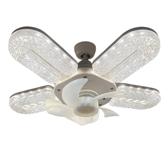 Online Sale - Fan Light