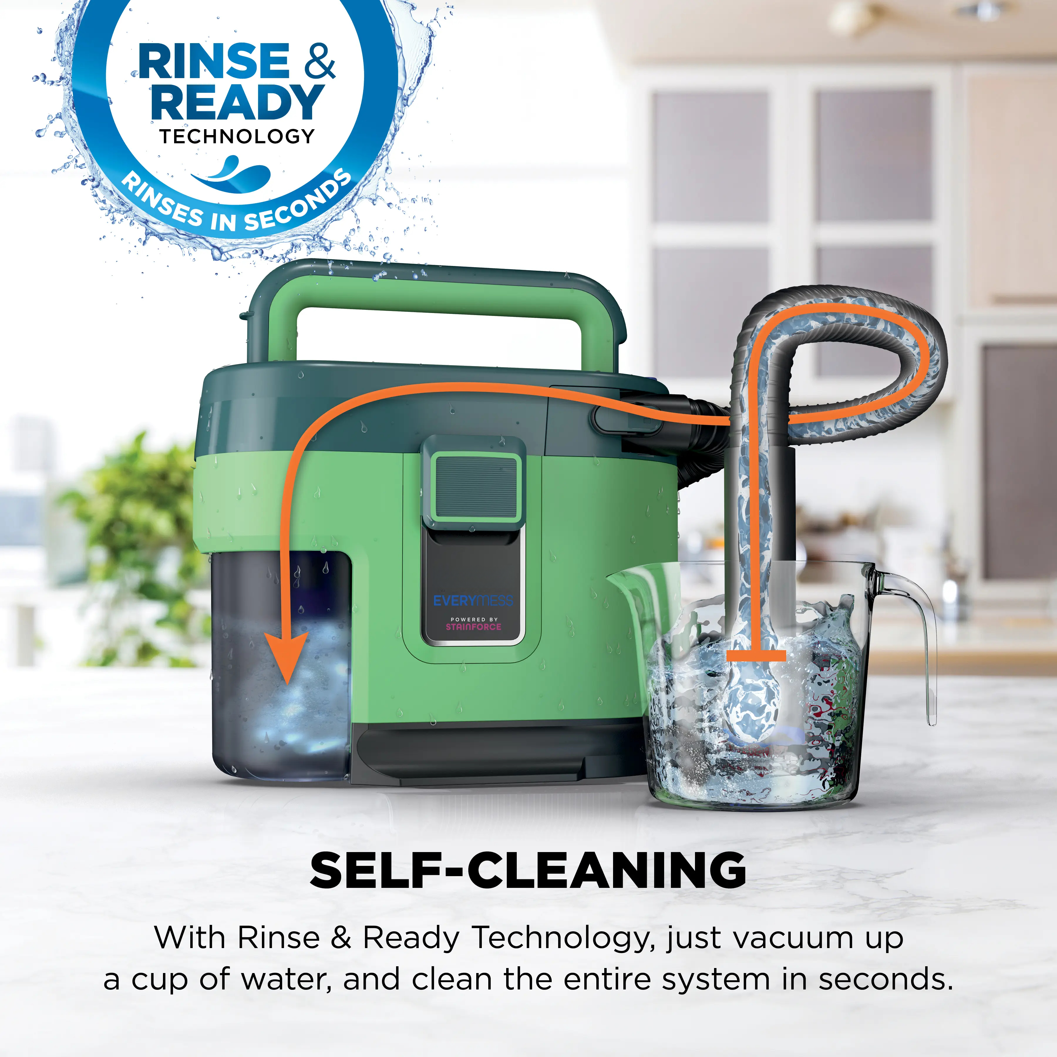Portable Wet & Dry Vacuum and Stain Remover