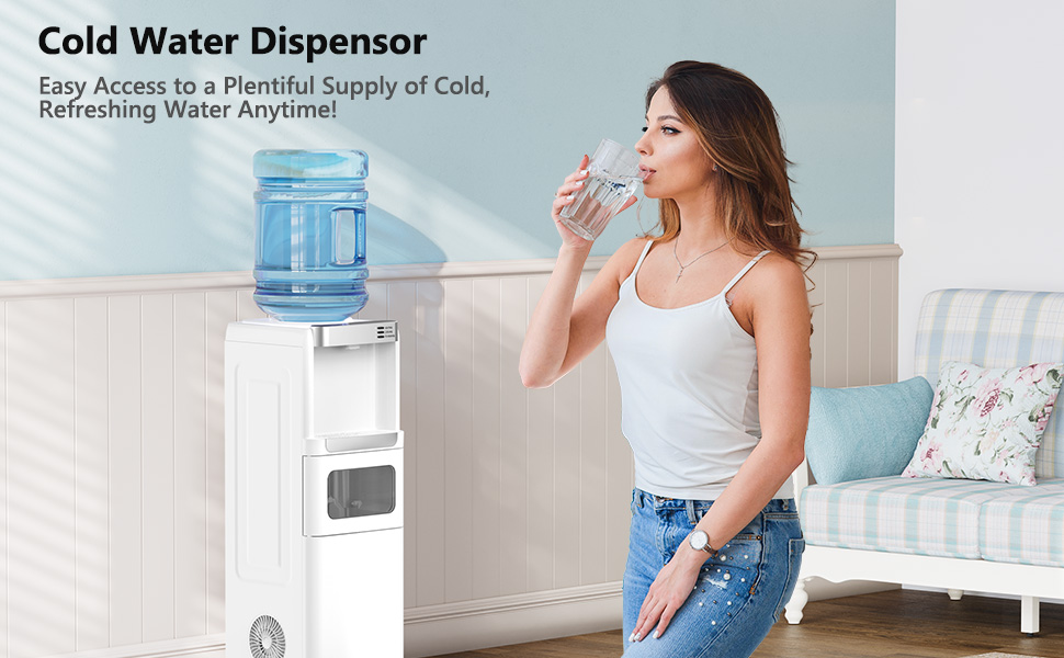 Water Dispenser with Ice Maker Function