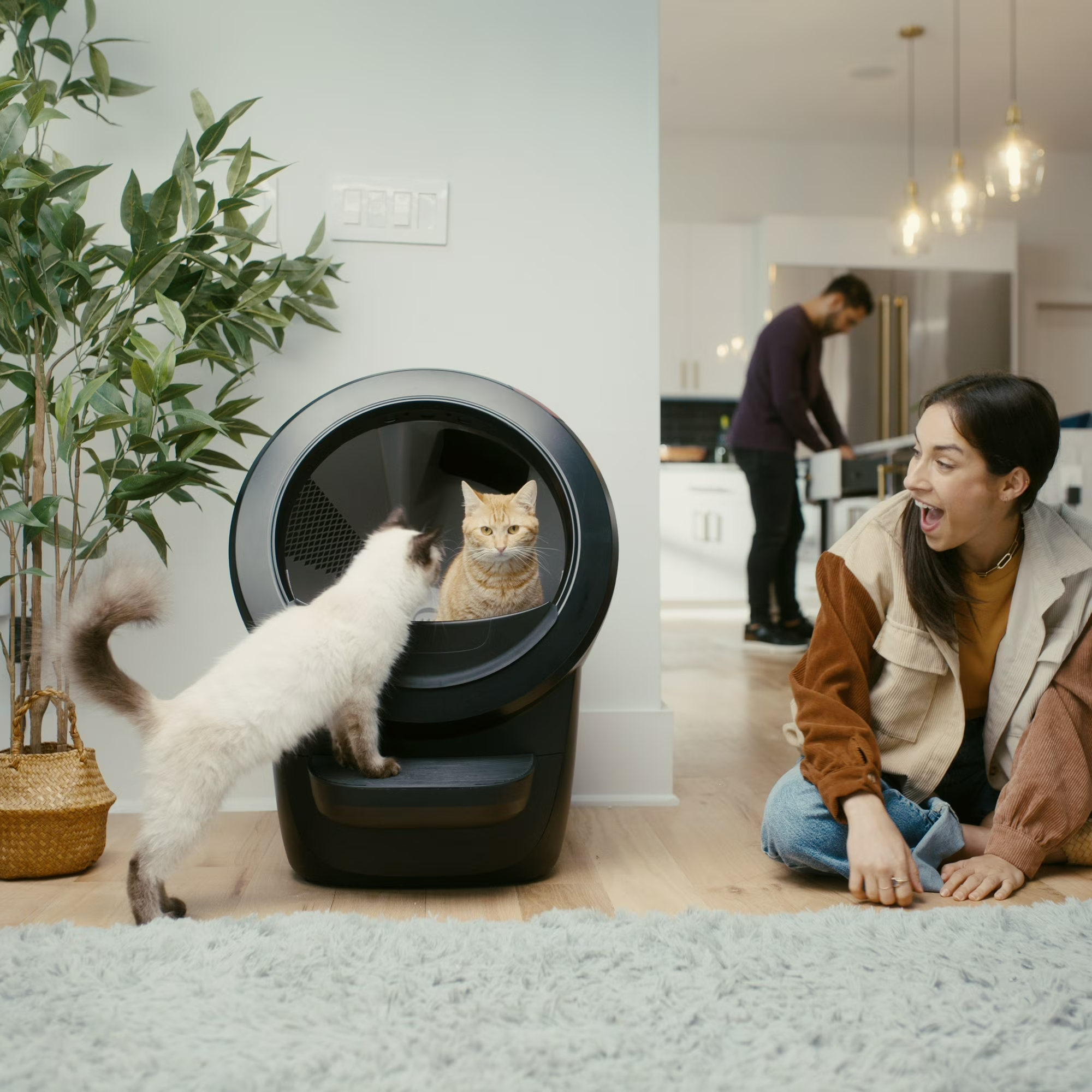 🔥Limited Offer🐱🚽Cat Litter Box