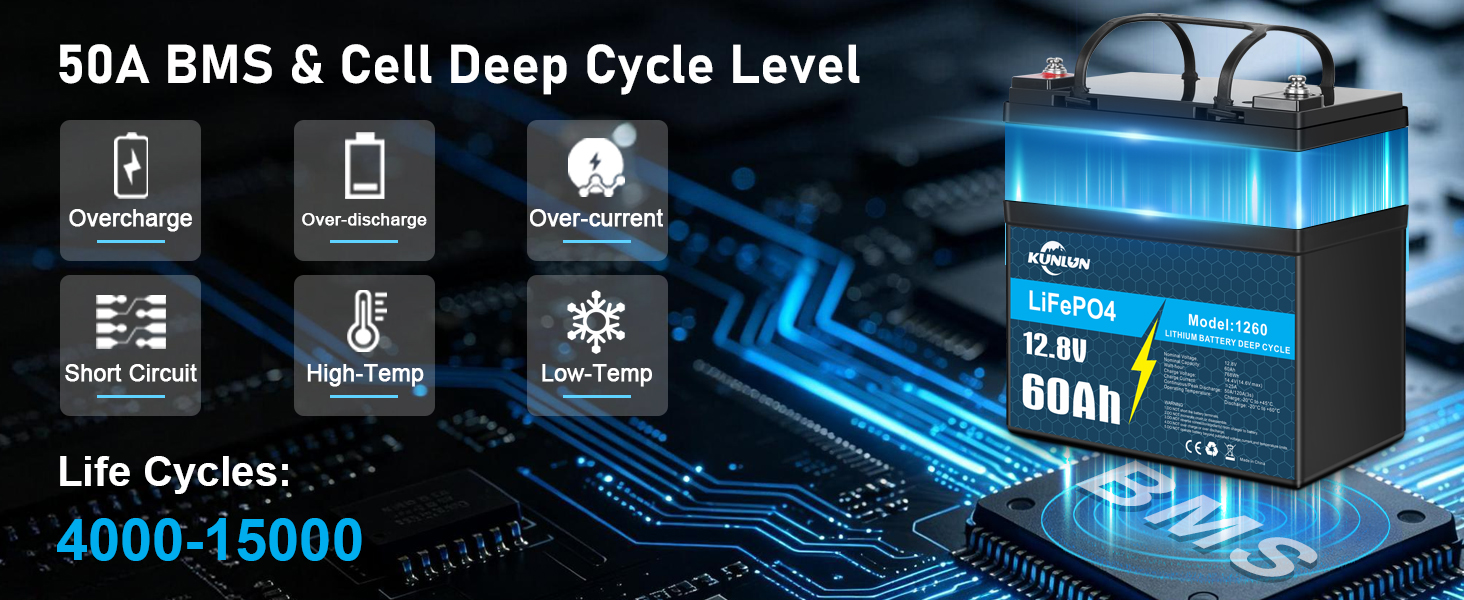 50A BMS &amp;amp; Cell Deep Cycle Level