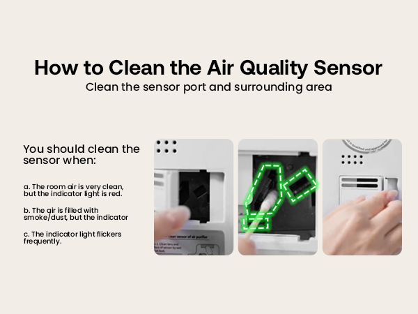 air purifier for large home pet