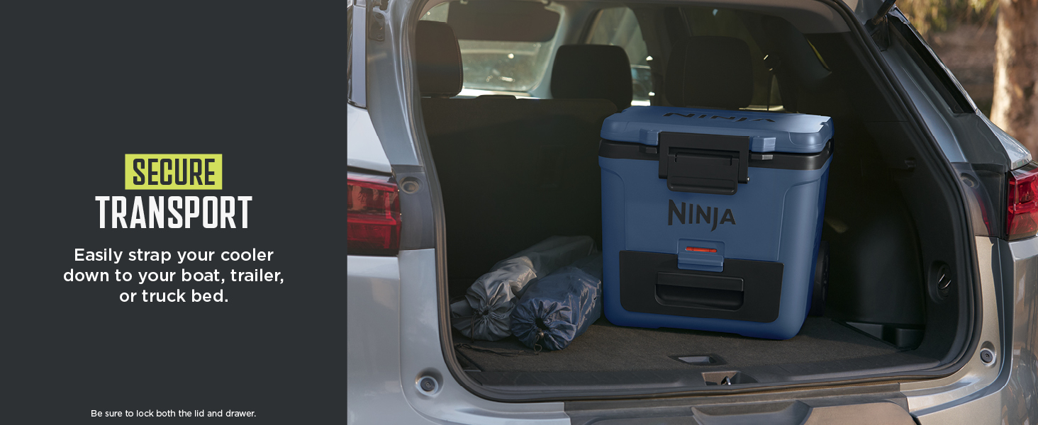 Ninja, Cooler, water cooler, small cooler, ice chest, electric cooler, dry ice, beach cooler