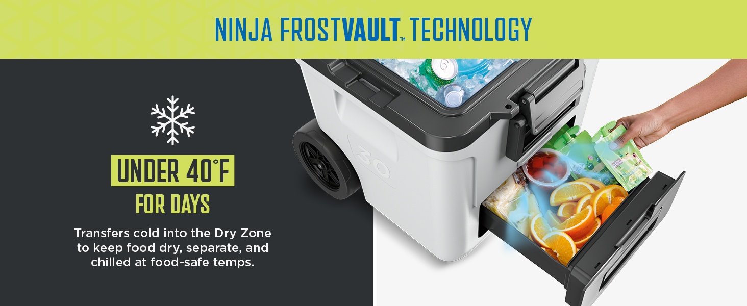 Ninja, Cooler, water cooler, small cooler, ice chest, electric cooler, dry ice, beach cooler