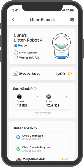 Whisker App