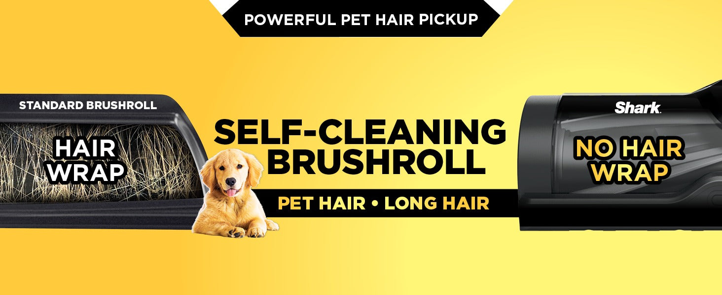 imgi_1_a666327c-70f8-4776-9d13-322280c63dbf.__CR0,0,1464,600_PT0_SX1464_V1___.jpg__PID:fb6e9f19-39e5-4ba8-9edf-41963eb67a6a