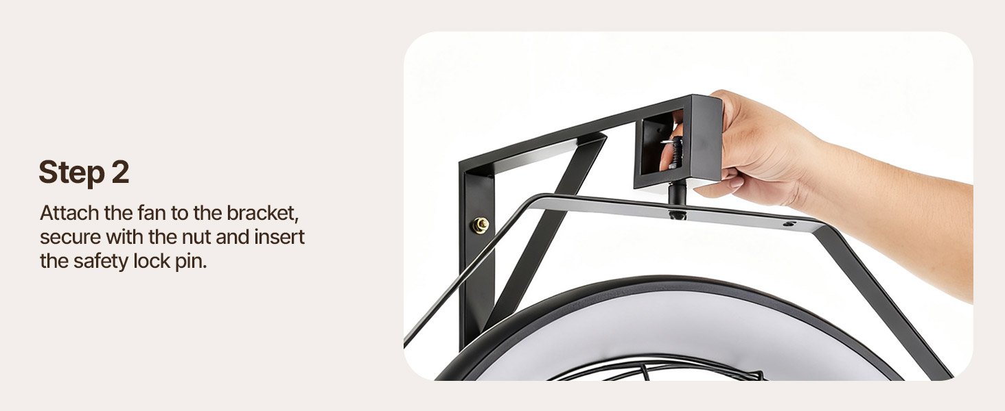 wall mount fan with light