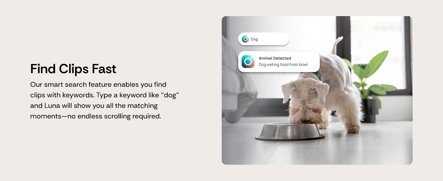 Indoor Security Camera 360-Degree Pan/Tilt, Pet/Person/Vehicle AI Motion Detection