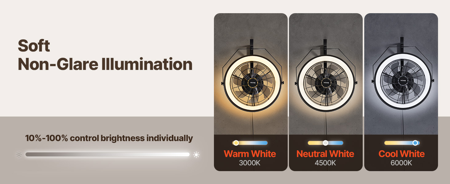 wall mount fan with light