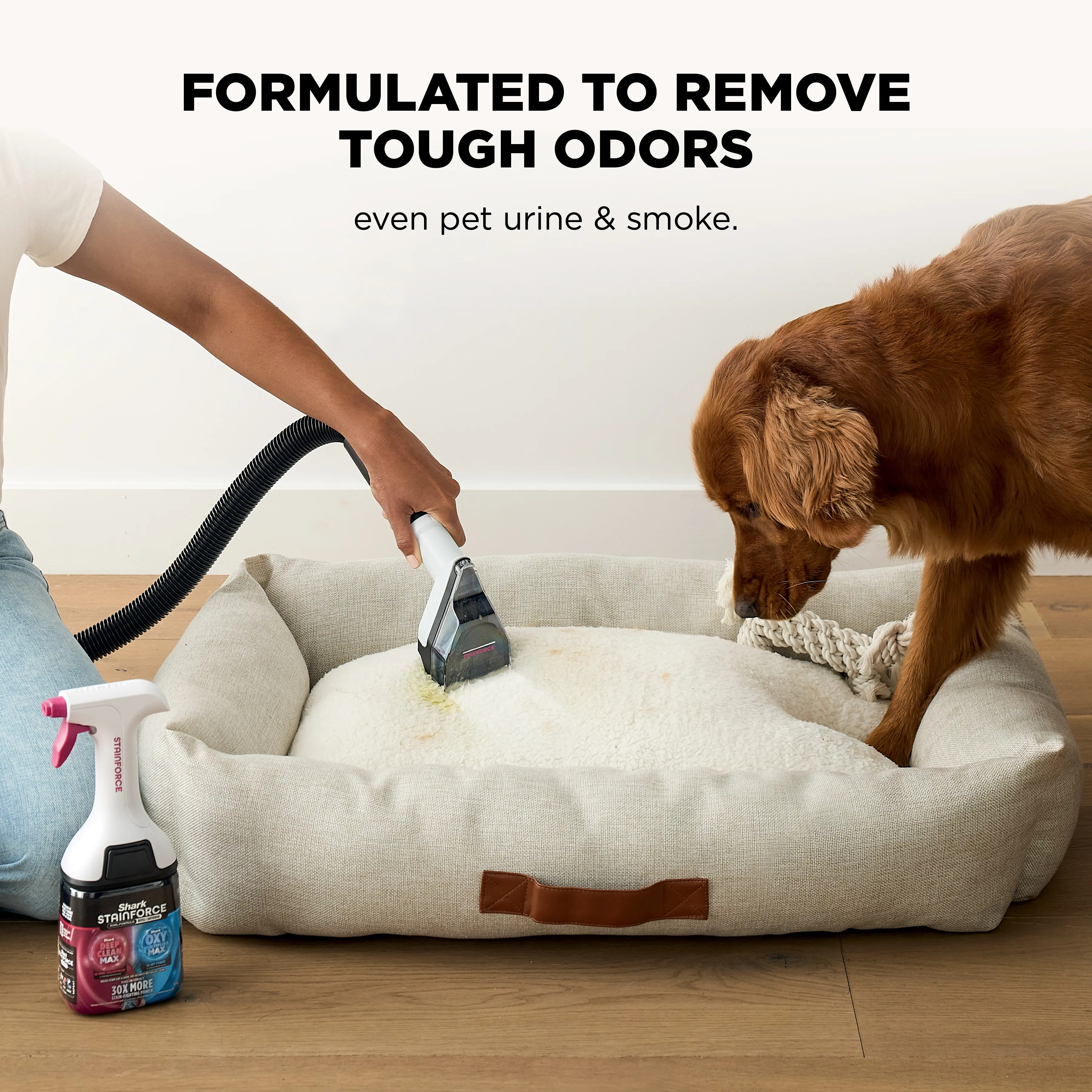 Portable Wet & Dry Vacuum and Stain Remover