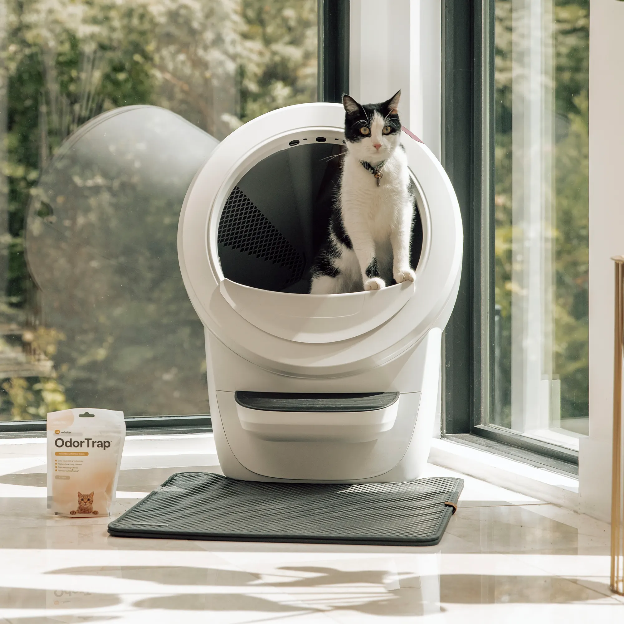 🔥Limited Offer🐱🚽Cat Litter Box