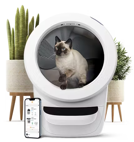 🔥Limited Offer🐱🚽Cat Litter Box