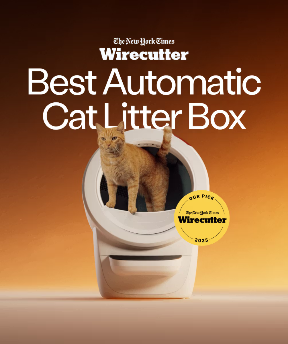 🔥Limited Offer🐱🚽Cat Litter Box