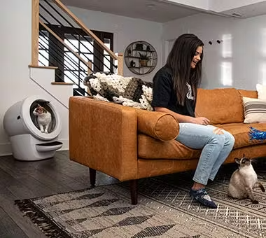 🔥Limited Offer🐱🚽Cat Litter Box