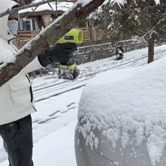 Cordless Leaf BlowerPower Through Dirt, Dust & Leaves Instantly