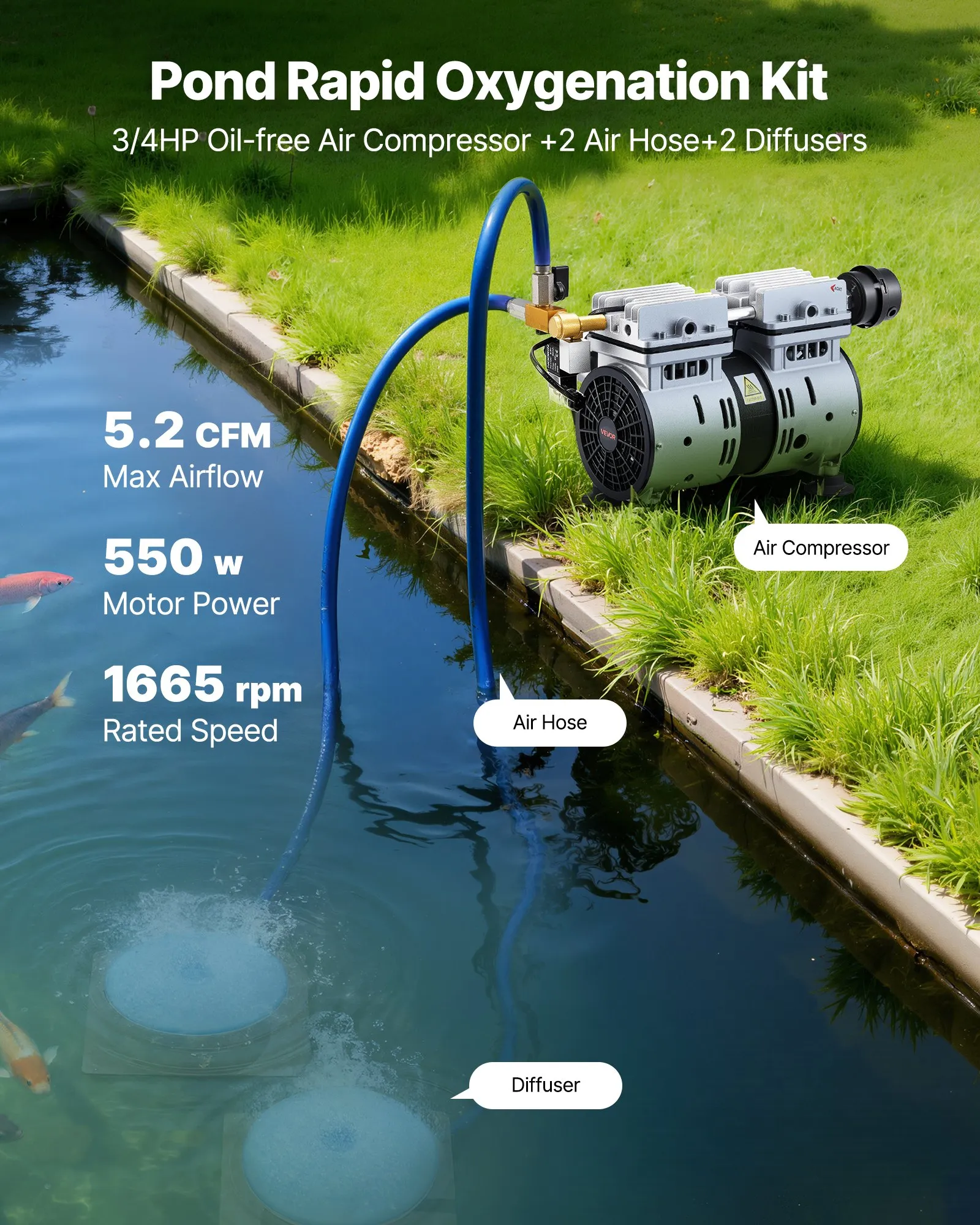 💥 [Limited Time Deal] VEVOR 3/4 HP Pond Aerator Kit, Complete 5.2 CFM Lake Aeration Pump System up to 3 Acres for Complete Oxygen Circulation