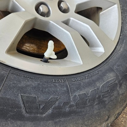 Penis Light Switch Cover