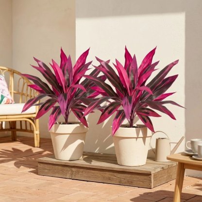 2Pcs Large Artificial Boston Fern & Dragon’s Blood Tree Plants | Vibrant Pink Purple Faux Plants for Garden Patio Balcony Decor 🌼