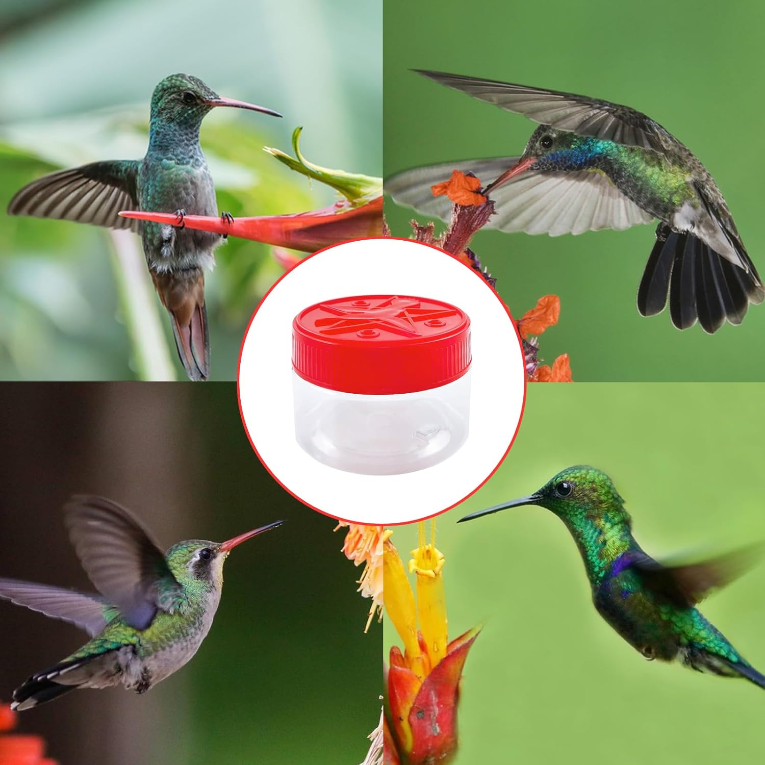 Hand Hummingbird Feeders