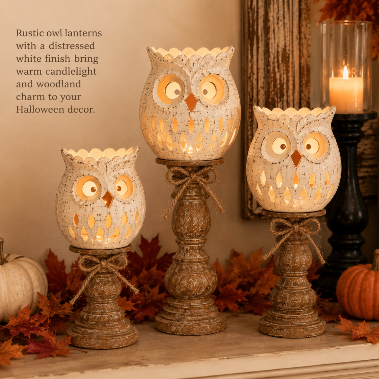 Rustic White Pumpkin Tealight Candle Holder Set of 3
