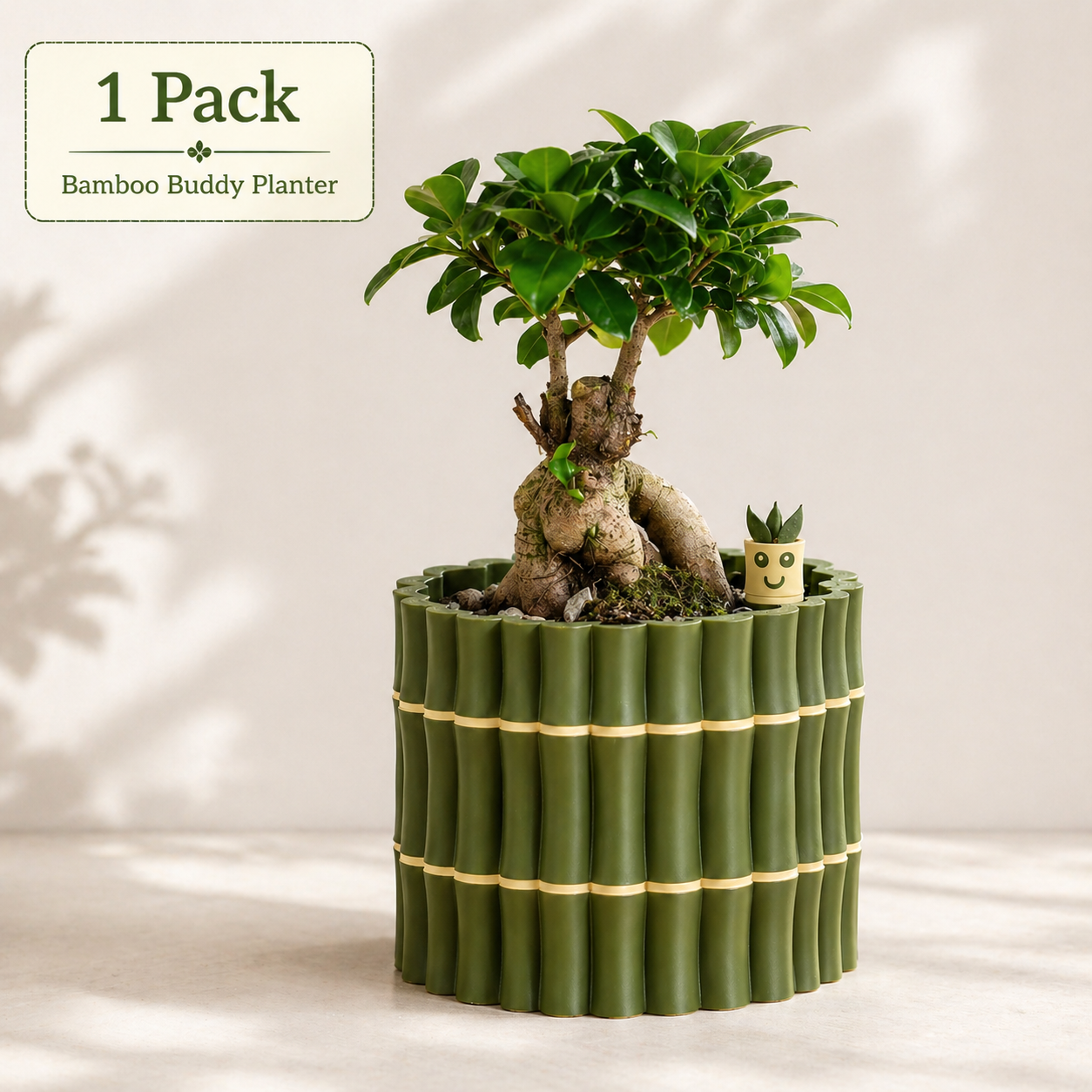 🎍Bamboo Buddy Self-Watering Planter A cute little planter that helps your plant drink at its own pace.🎍